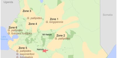 Kenya taasisi ya utafiti na ramani ada ya muundo